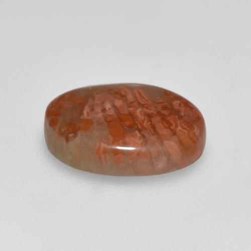 Coral Gemstone in 11 x 8.4 mm Size for Sale, Coral Stone in Multicolor Color