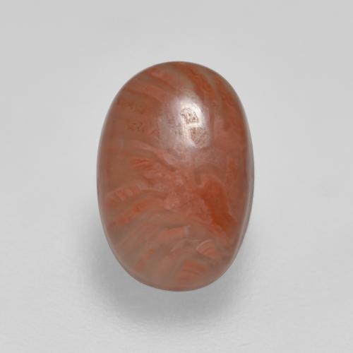Многоцветный Коралл Камень - 2.1ct Овал Кабошон (ID: 566219)