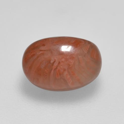 2.11 ct Multicolor Coral Stone, Natural Coral in Oval Cabochon Shape for Sale