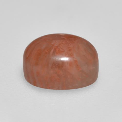 Coral Gemstone in 8.6 x 6 mm Size for Sale, Coral Stone in Multicolor Color