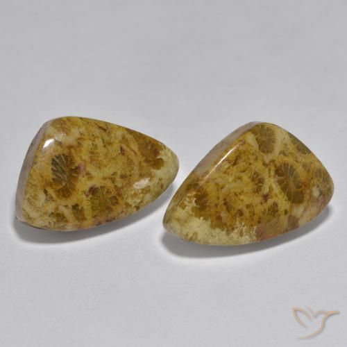 16.29 ctw Multicolor Coral Stones, Natural Coral in Fancy Cabochon Shape for Sale