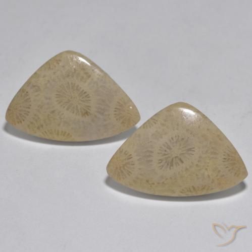 17.33ctw Natural Multicolor Coral, Fancy, Opaque