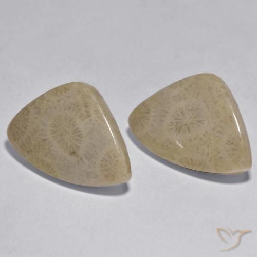 17.33 ctw Multicolor Coral Stones, Natural Coral in Fancy Cabochon Shape for Sale