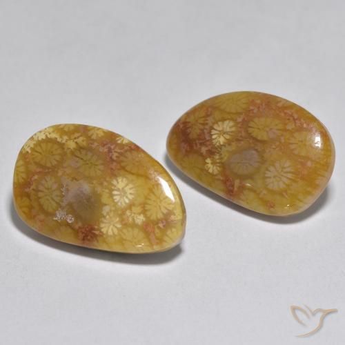 16.46 ctw Multicolor Coral Stones, Natural Coral in Fancy Cabochon Shape for Sale
