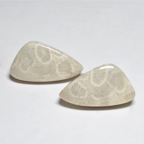 Par de Coral Elegante a juego de 21,9x11,7 mm - Peso 21,21 ct en total / promedio. 10,61 ct cada uno, piedra preciosa natural No tratado, color Multicolor con claridad Opaco, dureza Mohs 3 - 4, Photo A