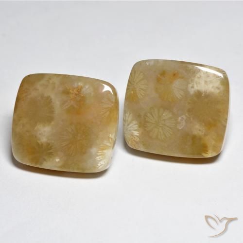 31.45 ctw Multicolor Coral Stones, Natural Coral in Cushion Cabochon Shape for Sale