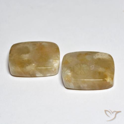 Coral Gemstones in 18.1 x 16.3 mm Size for Sale, Coral Stones in Multicolor Color