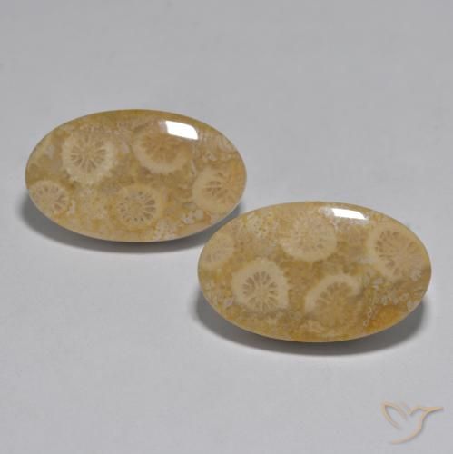 27.96ctw Natural Multicolor Coral, Oval, Opaque