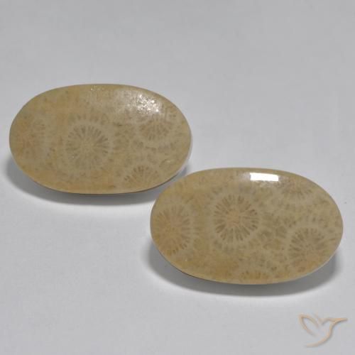26.78 ct Oval Coral, 20.3 x 12.3 mm From Indonesia, Photo A