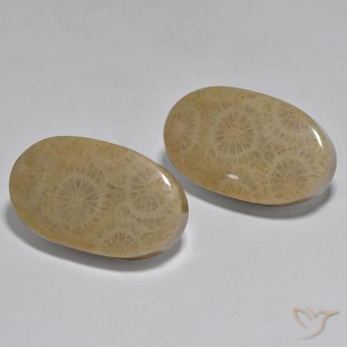 26.78 ctw Multicolor Coral Stones, Natural Coral in Oval Cabochon Shape for Sale