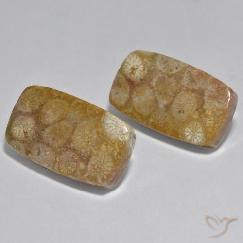 31.51 ctw Multicolor Coral Stones, Natural Coral in Cushion Cabochon Shape for Sale