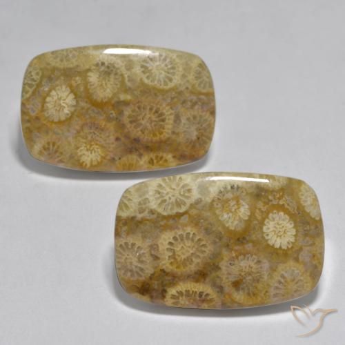 Paire de corail Coussin 20,7 x 13,6mm assorties - Poids total 24,97 ct / moyenne 12,49 ct chacune, couleur Multicolore et pureté Opaque , pierre gemme naturelle Non traité, dureté de Mohs 3 à 4, Photo A