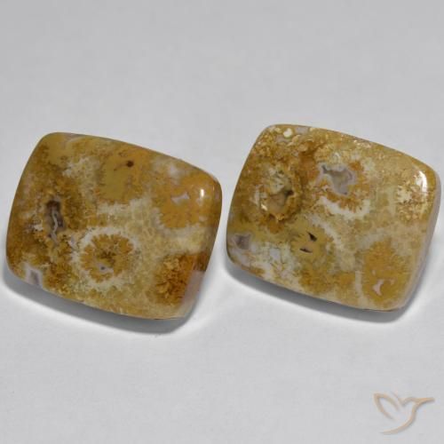 30.85 ctw Multicolor Coral Stones, Natural Coral in Cushion Cabochon Shape for Sale