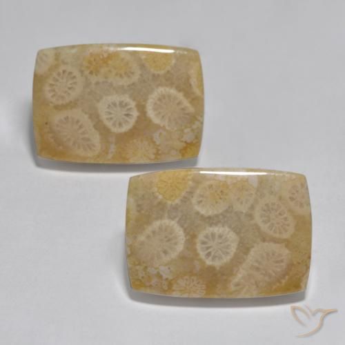 32.71ctw Natural Multicolor Coral, Cushion, Opaque