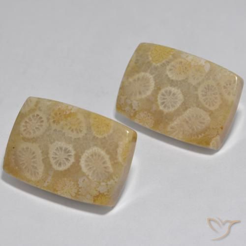 32.71 ctw Multicolor Coral Stones, Natural Coral in Cushion Cabochon Shape for Sale