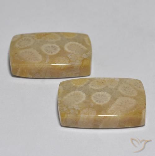 Coral Gemstones in 20 x 15 mm (calibrated) Size for Sale, Coral Stones in Multicolor Color