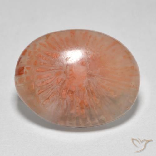 7.86ct Natural Multicolor Coral, Oval, Translucent