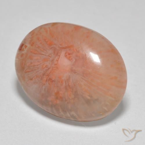 7.86 ct Multicolor Coral Stone, Natural Coral in Oval Cabochon Shape for Sale