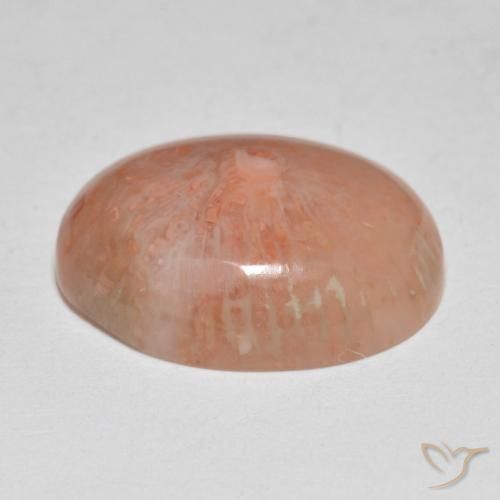 Coral Gemstone in 16 x 12.7 mm Size for Sale, Coral Stone in Multicolor Color