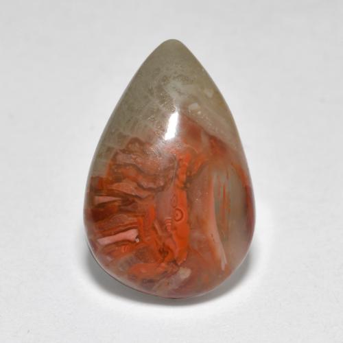 4.44 ct Multicolor Coral Gemstone, Coral Gem in Pear Cabochon Shape for Sale.