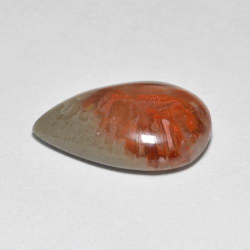 Coral Gemstone in 15 x 10 mm (calibrated) Size for Sale, Coral Stone in Multicolor Color