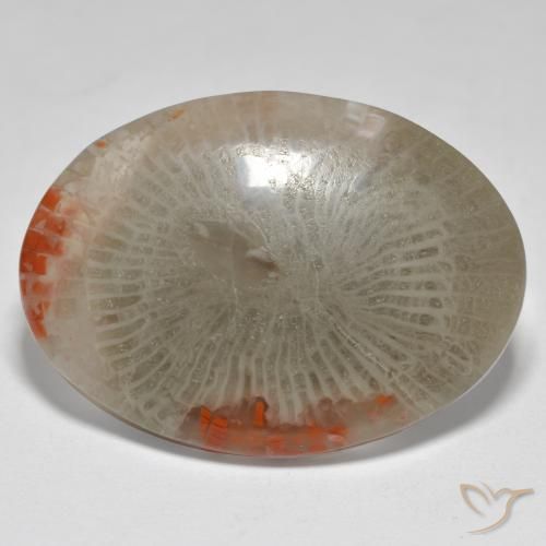 17.43ct Natural Multicolor Coral, Oval, Opaque