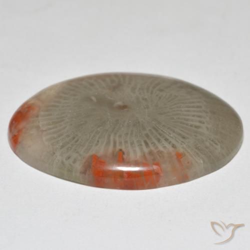 Coral Gemstone in 29.7 x 19.8 mm Size for Sale, Coral Stone in Multicolor Color
