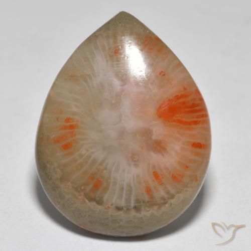 16.37 ct Multicolor Coral Gemstone, Coral Gem in Pear Cabochon Shape for Sale.