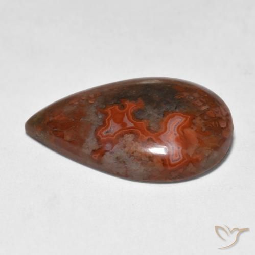 Coral Gemstone in 19.9 x 13.6 mm Size for Sale, Coral Stone in Multicolor Color