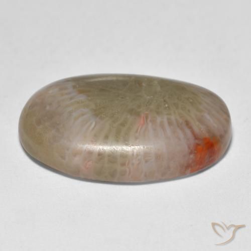 Coral Gemstone in 21 x 15.1 mm Size for Sale, Coral Stone in Multicolor Color