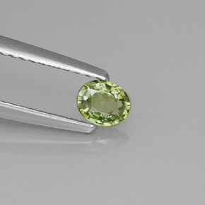 0.28 ct Green Demantoid Garnet Stone, Natural Demantoid Garnet in Oval Facet Shape for Sale