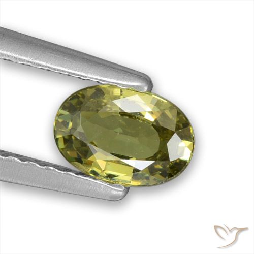 0.57ct Natural Warm Forest Green Demantoid Garnet, Oval, VVS-VS