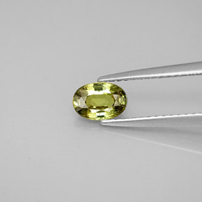 0.63 ct Green Demantoid Garnet Gemstone, Demantoid Garnet Gem in Oval Facet Shape for Sale.