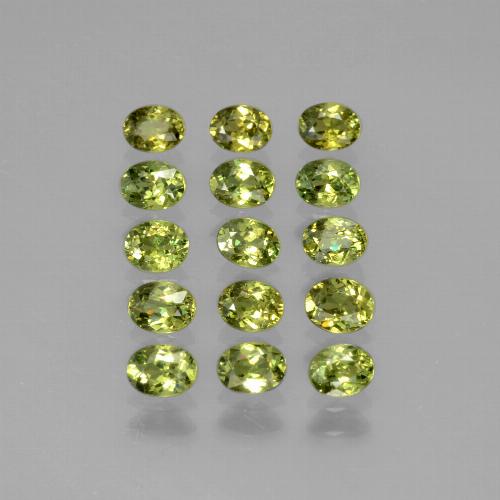 Lotto di 15 pezzi taglio ovale verde Granato demantoide dalla Namibia - Peso totale 3,34 ct / avg. 0,22 ct ciascuno, dimensioni 3,9 x 3,1mm, colore: Verde foresta, durezza Mohs 7 - 7,5 adatto per gioielli da indossare ogni giorno, Photo A