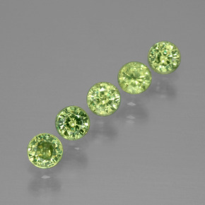 Verde bosque claro Granate Demantoide Gema - 0.2ct Faceta Redonda (ID: 391742)