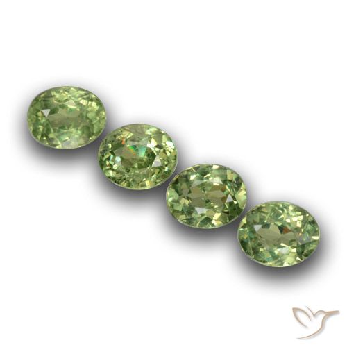4-teiliges Demantoid-Granat / Set - Ovalschliff Grün aus Namibia - Größe 4,3 x 3,5mm, Gewicht 1,21 ct gesamt / Durchschn. je 0,3 ct, Farbe: Mittelgrün, Mohs-Härte 7 - 7,5 Geeignet für den täglichen Gebrauch im Schmuck, Photo A