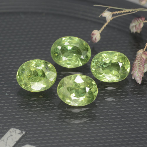 Verde medio Granate Demantoide Gema - 0.5ct Forma ovalada (ID: 471693)