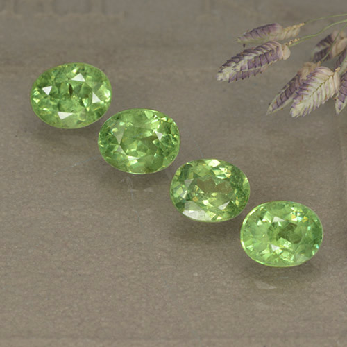 Lotto taglio ovale di 4 pezzi Granato demantoide verde dalla Namibia - peso totale di 2,11 ct / media. 0,53 ct ciascuno, misura 5,1 x 4,1mm, colore: Verde lime, durezza Mohs 7 - 7,5 adatto per gioielli da indossare ogni giorno, Photo A