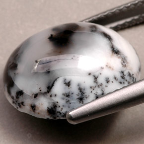 Dendritic Agate Gemstone in 14.7 x 12.2 mm Size for Sale, Dendritic Agate Stone in Multicolor Color