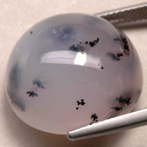Dendritic Agate Gemstone in 19.5 x 18.4 mm Size for Sale, Dendritic Agate Stone in Multicolor Color