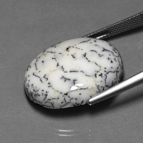 Dendritic Agate Gemstone in 23.7 x 19.1 mm Size for Sale, Dendritic Agate Stone in Multicolor Color