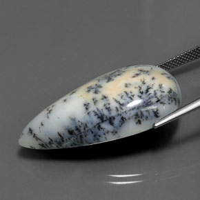 Dendritic Agate Gemstone in 33.3 x 19.1 mm Size for Sale, Dendritic Agate Stone in Multicolor Color