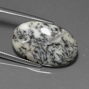 15.76 ct Multicolor Dendritic Agate Gemstone, Dendritic Agate Gem in Oval Cabochon Shape for Sale.