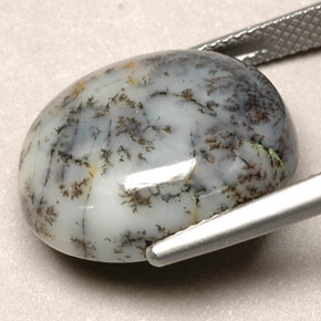 Dendritic Agate Gemstone in 18.4 x 15.2 mm Size for Sale, Dendritic Agate Stone in Multicolor Color