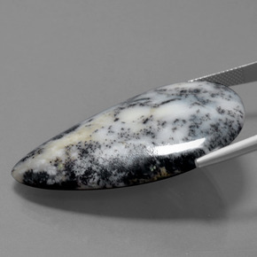 Dendritic Agate Gemstone in 30.5 x 44.2 mm Size for Sale, Dendritic Agate Stone in Multicolor Color