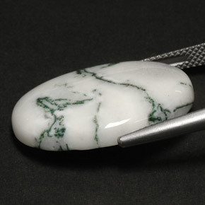 Dendritic Agate Gemstone in 25.2 x 18.1 mm Size for Sale, Dendritic Agate Stone in Multicolor Color