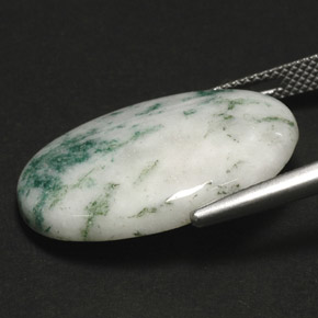Dendritic Agate Gemstone in 18.1 x 25.1 mm Size for Sale, Dendritic Agate Stone in Multicolor Color