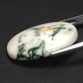 Dendritic Agate Gemstone in 25.1 x 18.1 mm Size for Sale, Dendritic Agate Stone in Multicolor Color