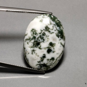 16.20 ct Multicolor Dendritic Agate Stone, Natural Dendritic Agate in Oval Cabochon Shape for Sale