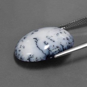 Dendritic Agate Gemstone in 22.2 x 16.6 mm Size for Sale, Dendritic Agate Stone in Black White Color